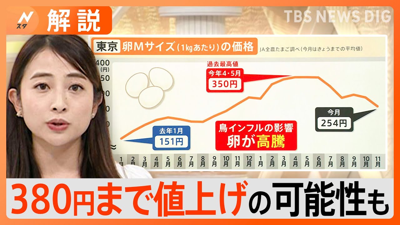 卵の価格「今シーズンは380円まで値上げの可能性も」　鳥インフルエンザの発生でクリスマスやお正月にも影響か　節約方法は“冷凍で半分に”【Nスタ解説】｜TBS&nbsp;NEWS&nbsp;DIG