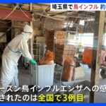 鳥インフルエンザで約4.5万羽のニワトリ殺処分　埼玉・毛呂山町｜TBS NEWS DIG