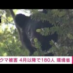 全国のクマ被害　4月～10月末で180人 死者5人に　秋田で最多61人　環境省(2023年11月1日)