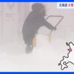 北海道では本格的な雪や吹雪　48センチの大雪も　8割の観測地点で真冬日か｜TBS NEWS DIG