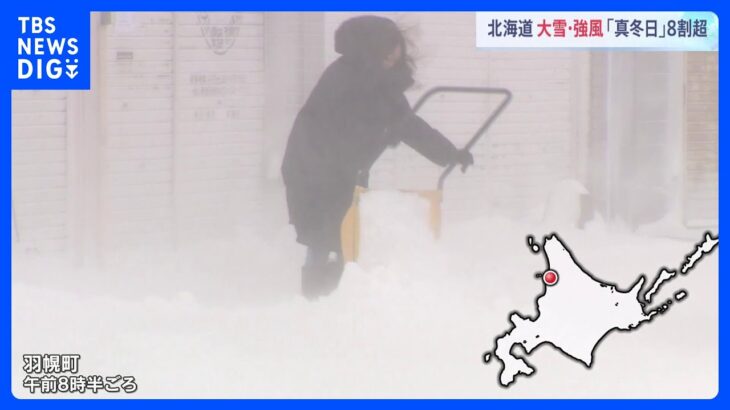 北海道では本格的な雪や吹雪　48センチの大雪も　8割の観測地点で真冬日か｜TBS NEWS DIG