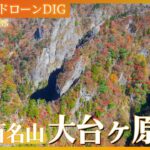 【4K】日本百名山 大台ヶ原の紅葉【JNN 紅葉ドローンDIG】| TBS NEWS DIG