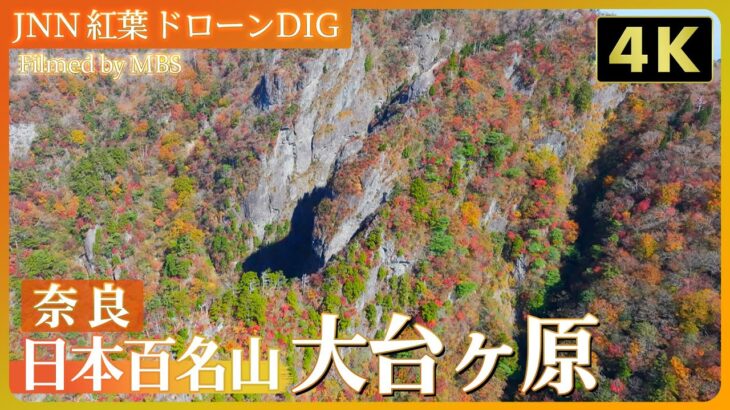 【4K】日本百名山 大台ヶ原の紅葉【JNN 紅葉ドローンDIG】| TBS NEWS DIG
