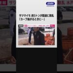 サツマイモ約5トンが国道に散乱「カーブ曲がるときに…」　茨城・水戸市 #shorts