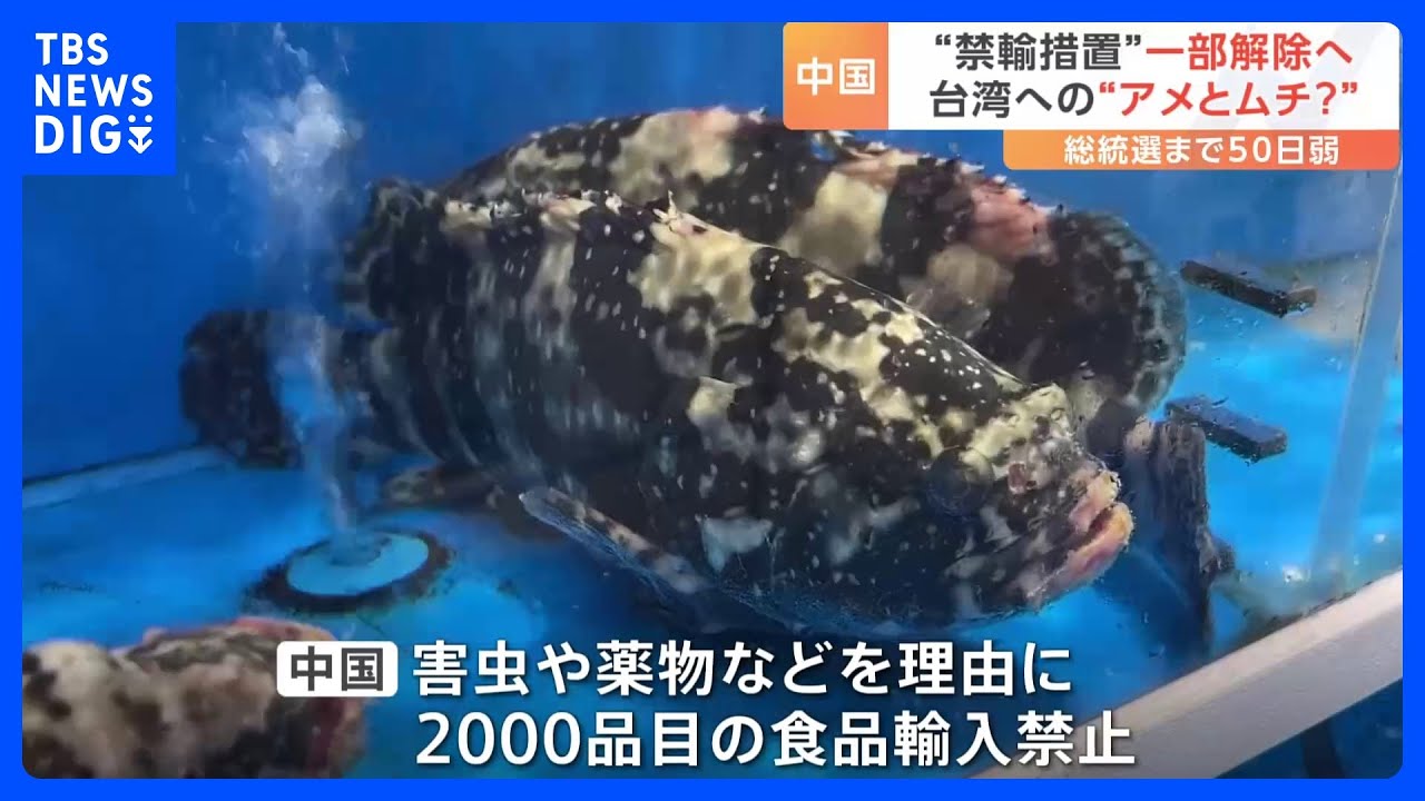 中国“台湾産禁輸”解除へ　台湾総統選挙まで50日切る　台湾産「ハタ」「釈迦頭」の禁輸&nbsp;分かれる解除可否の背景｜TBS&nbsp;NEWS&nbsp;DIG