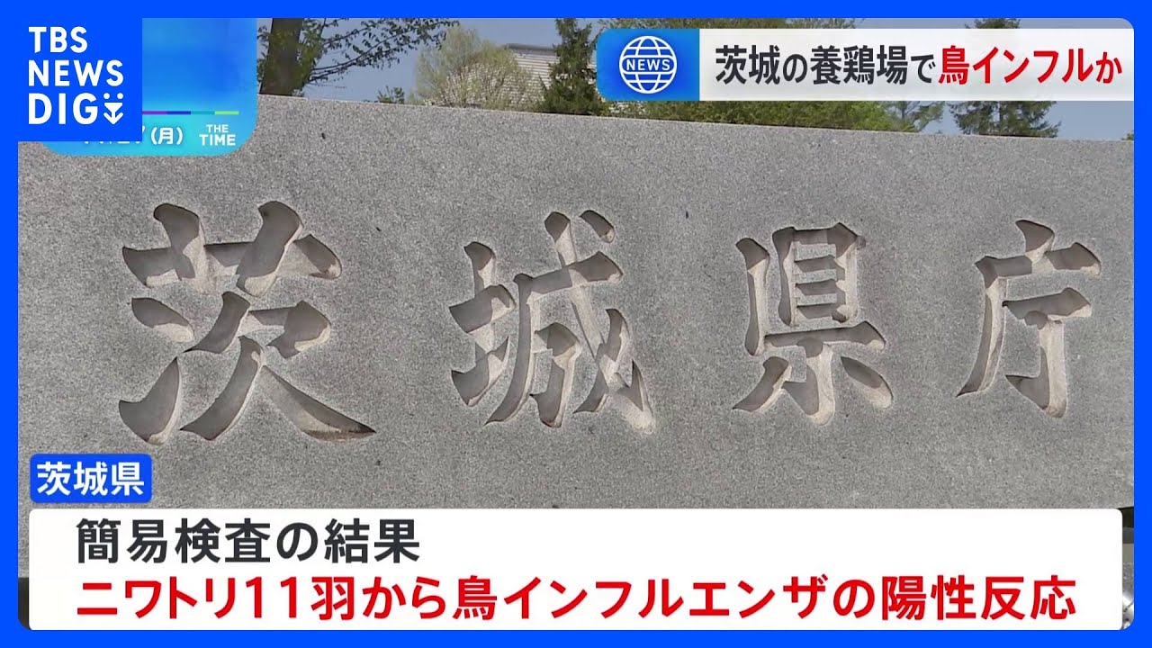 茨城県笠間市で鳥インフルの疑い　約7万羽飼育の養鶏場　「ニワトリがたくさん死んでいる」と通報｜TBS&nbsp;NEWS&nbsp;DIG