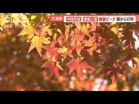 「まるで絵画」見頃迎えた日光紅葉　平日も大混雑…猛暑の影響で“絶景ピーク短く”【羽鳥慎一 モーニングショー】(2023年11月1日)