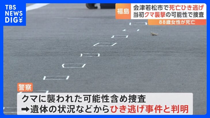 当初、クマ襲撃の可能性で捜査　福島・会津若松市で死亡ひき逃げ事件｜TBS NEWS DIG