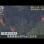 愛媛の山火事 いまも延焼続く 周辺住民の一部が避難(2023年11月2日)