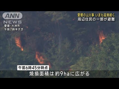 愛媛の山火事 いまも延焼続く 周辺住民の一部が避難(2023年11月2日)