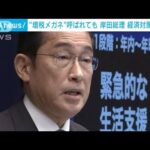 “増税メガネ”批判「どんな呼ばれ方しようとも…」 岸田総理が経済対策を強調(2023年11月2日)