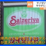 客に提供したサラダにカエル混入　サイゼリヤが発表　東京と神奈川の3店舗で先月中旬に確認｜TBS NEWS DIG