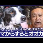 イノシシ用の罠にクマが！各地で出没　訓練された犬で「被害ゼロ」の町(2023年11月3日)