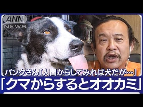 イノシシ用の罠にクマが！各地で出没　訓練された犬で「被害ゼロ」の町(2023年11月3日)