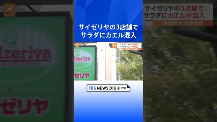 客に提供したサラダにカエル混入　サイゼリヤが発表　東京と神奈川の3店舗で先月中旬に確認｜TBS NEWS DIG #shorts