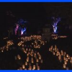 豪・キャンベラの平和公園で「キャンドル・フェスティバル」開催　奈良市との友好30周年｜TBS NEWS DIG