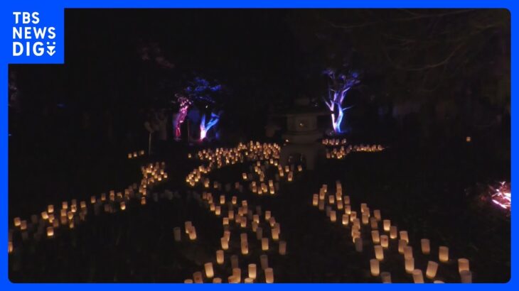 豪・キャンベラの平和公園で「キャンドル・フェスティバル」開催　奈良市との友好30周年｜TBS NEWS DIG