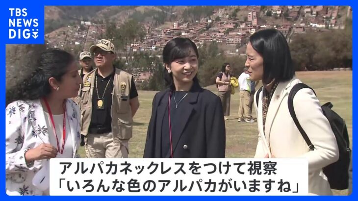 遺跡でアルパカの群れが佳子さまを出迎え「いろんな色のアルパカがいますね」胸にはアルパカのネックレス｜TBS NEWS DIG