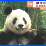 シャンシャンは中国で“臆病で人見知り”　日本メディアに初公開｜TBS NEWS DIG