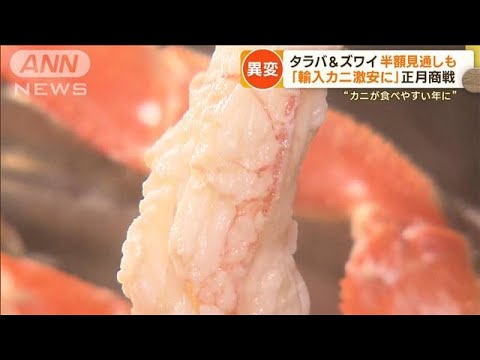 “ズワイガニ”豊漁…昨年の半額予測も　漁獲枠増加＆輸入モノ“激安”で市場に異変【もっと知りたい！】(2023年11月8日)