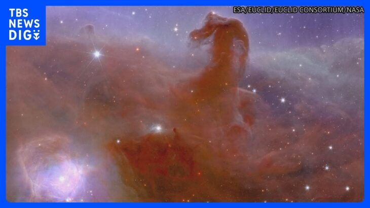 宇宙望遠鏡「ユークリッド」が撮影した星雲など画像公開 「馬頭星雲」など鮮明に｜TBS NEWS DIG
