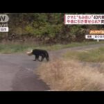 牛舎近くで…相次ぐクマ襲撃“激辛パウダー”撃退グッズ開発も(2023年11月8日)