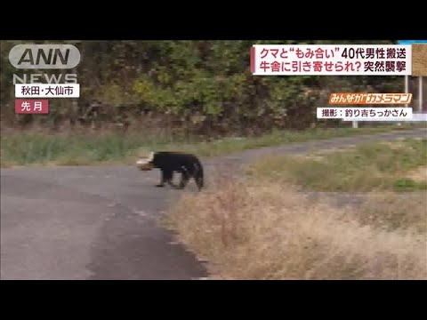 牛舎近くで…相次ぐクマ襲撃“激辛パウダー”撃退グッズ開発も(2023年11月8日)