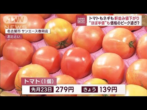 “ほぼ半値”も…トマトもネギも軒並み値下がり　価格のピーク過ぎ？(2023年11月9日)