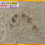 クマの痕跡が住宅の庭や小学校のグラウンドに…大阪北部でも出没相次ぐ、府が注意呼び掛け　