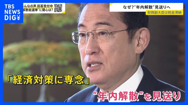 “何をやっても裏目”岸田総理 年内の衆院解散見送りへ。財務副大臣の税金滞納問題も…政権への信頼回復は？【news23】｜TBS NEWS DIG