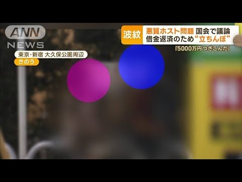 悪質ホスト問題　国会で議論…借金返済のため“立ちんぼ”　「5000万円貢いだ」女性も【もっと知りたい！】(2023年11月10日)