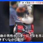 韓国・大邱で犬がバイクで引きずられる…目撃した市民達が制止｜TBS NEWS DIG