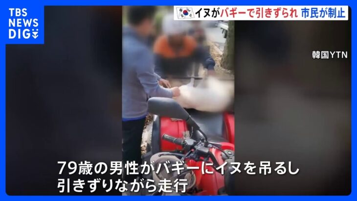 韓国・大邱で犬がバイクで引きずられる…目撃した市民達が制止｜TBS NEWS DIG