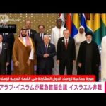 アラブ・イスラム諸国が緊急首脳会議 「戦争犯罪」とイスラエル非難(2023年11月12日)