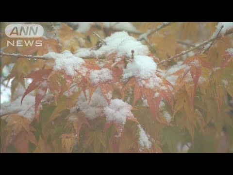 全国の約半数で今季最低　列島の上空に強い寒気　日中も12月並み寒さに(2023年11月13日)