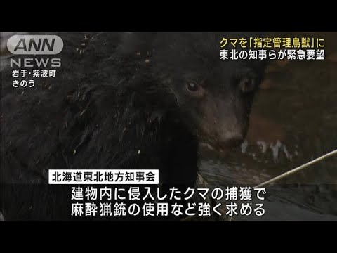 クマを「指定管理鳥獣」に 東北の知事らが環境大臣へ緊急要望(2023年11月13日)