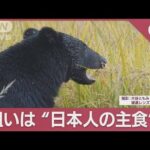 クマに「米袋」狙われた町…異常事態？日本人の主食までもが被害に“1つの水田”に5頭(2023年11月13日)