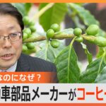 農業経験ないのに…新規事業はコーヒー栽培!?自動車部品メーカーの挑戦　地球温暖化でチャンス？【ゲキ推しさん】｜TBS NEWS DIG