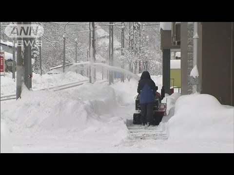 「一気に真冬」半数の観測地点”今季一番の冷え込み”　東京で「木枯らし1号」発表(2023年11月13日)