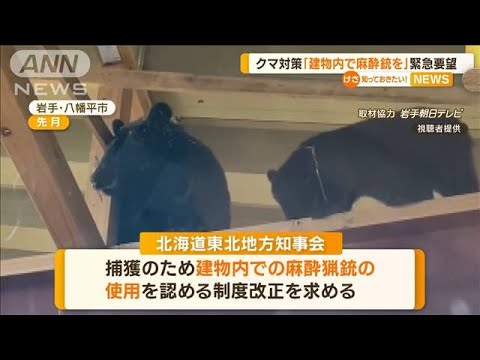 クマ対策「建物内で麻酔銃を」　北海道東北地方知事会が緊急要望【知っておきたい！】(2023年11月14日)