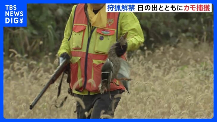 きょうから狩猟解禁　茨城県ではハンターがカモを撃ち落とす　県の職員が取り締まりも実施｜TBS NEWS DIG