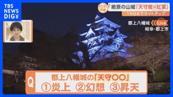 『もみじの名城』で紅葉見頃！『天守炎上』と呼ばれるほど真っ赤に！ライトアップで幻想的な姿…郡上八幡城の絶景をすたすた！｜TBS NEWS DIG