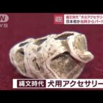 縄文時代“犬のアクセサリー”発見　日本初？当時からパートナー？(2023年11月16日)