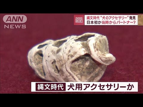 縄文時代“犬のアクセサリー”発見　日本初？当時からパートナー？(2023年11月16日)