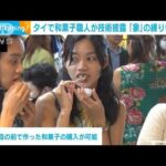 タイで和菓子職人が技術披露 「象」の練り切りも(2023年11月17日)