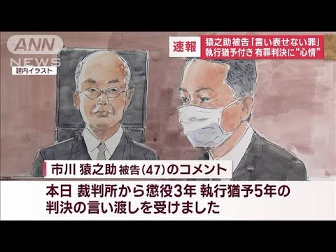 猿之助被告「言い表せない罪」 執行猶予付き有罪判決に“心情”(2023年11月17日)