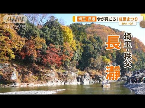 水上から神社から…秩父・長瀞の紅葉は今が見頃！絶品“紅葉グルメ”も【あらいーな】(2023年11月20日)