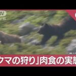 貴重映像を分析“クマの狩り”からみる生態と驚異の運動能力とは(2023年11月20日)