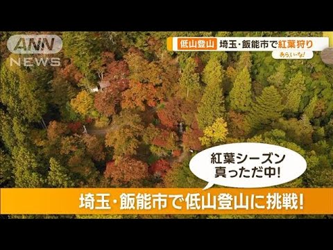 秋の低山登山　東郷公園で歴史探訪＆神社仏閣巡り　見頃の紅葉も！【あらいーな】(2023年11月21日)