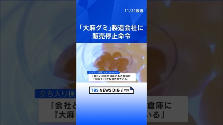 厚労省 麻薬取締部が“大麻グミ”製造会社に「販売停止命令」｜TBS NEWS DIG#shorts